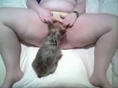 Unprofessional fat woman opening her twat to allow the small terrier to clean her tongue